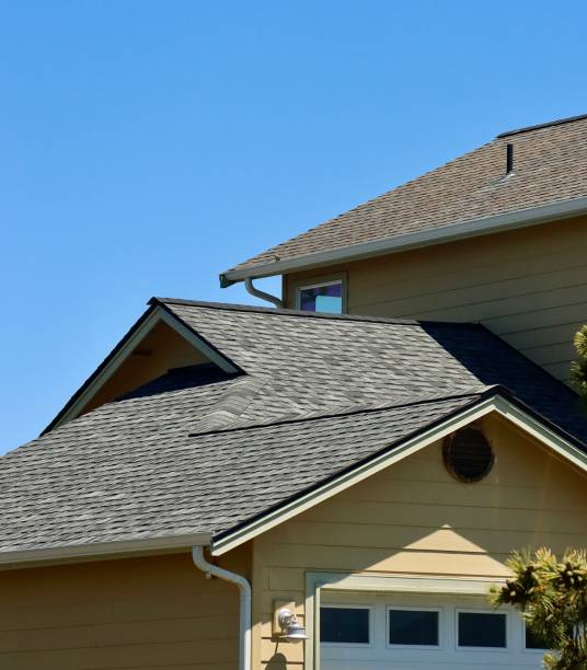Best Skylight Installation and Repair  in Hamshire, TX